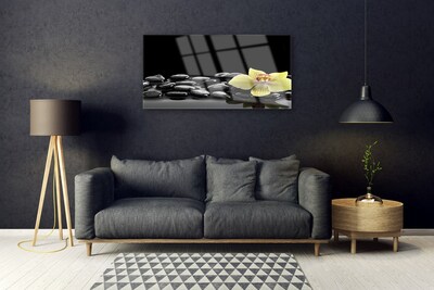 Quadro acrílico Cozinha Flor Preta