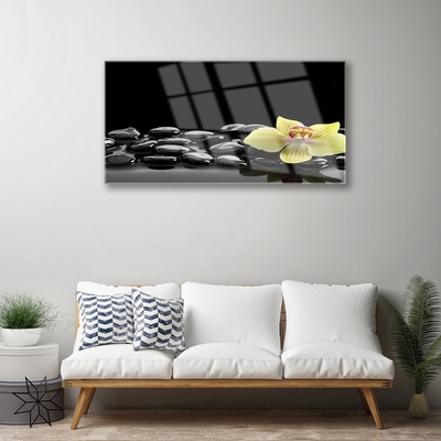 Quadro acrílico Cozinha Flor Preta