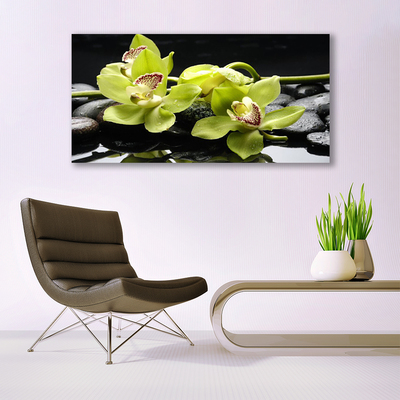 Pintura acrílica Planta de orquídea flor