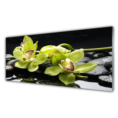 Pintura acrílica Planta de orquídea flor