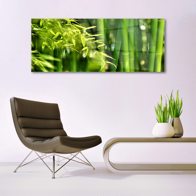 Quadro acrílico Planta de folhas de bambu