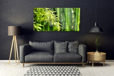 Quadro acrílico Planta de folhas de bambu