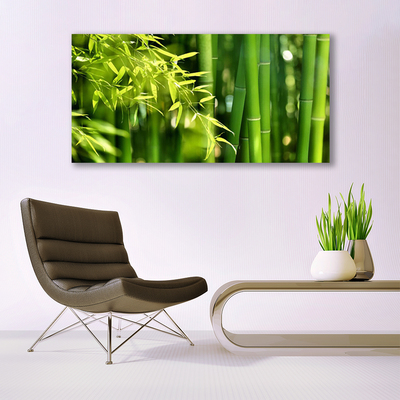 Quadro acrílico Planta de folhas de bambu
