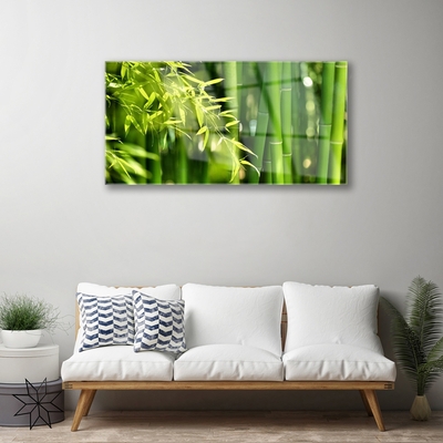 Quadro acrílico Planta de folhas de bambu