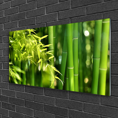 Quadro acrílico Planta de folhas de bambu