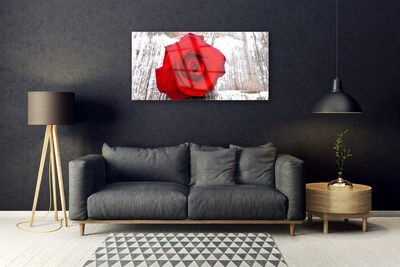 Pintura acrílica Rosa Flor Planta Natureza