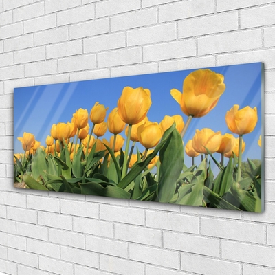 Quadro acrílico Tulipas Flores Planta