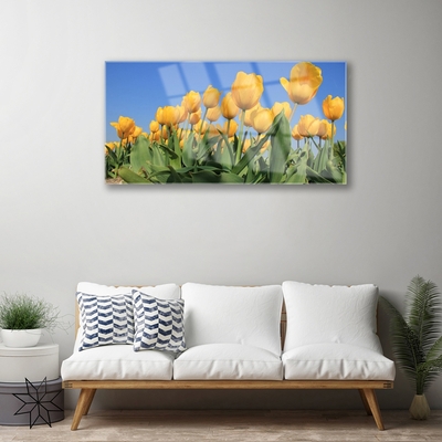 Quadro acrílico Tulipas Flores Planta