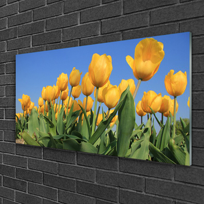 Quadro acrílico Tulipas Flores Planta