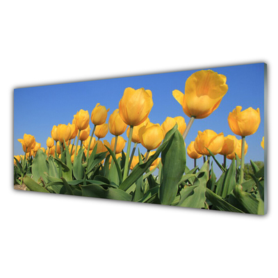 Quadro acrílico Tulipas Flores Planta