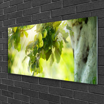 Quadro acrílico Maçãs Galho Árvore Natureza