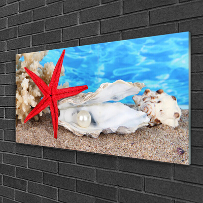 Pintura acrílica Conchas de estrelas do mar Natureza