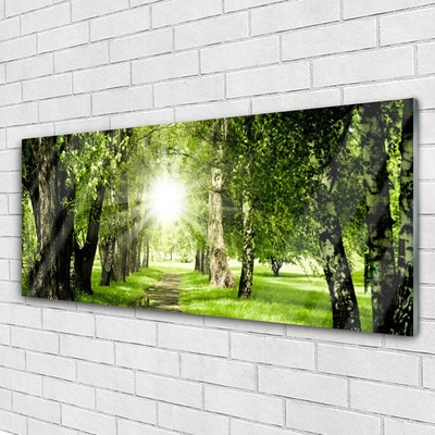 Quadro acrílico Caminho do Sol na Floresta Natureza