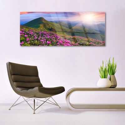 Quadro acrílico Montanhas Prado Flores Paisagem