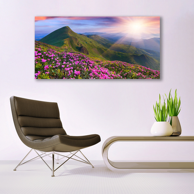 Quadro acrílico Montanhas Prado Flores Paisagem
