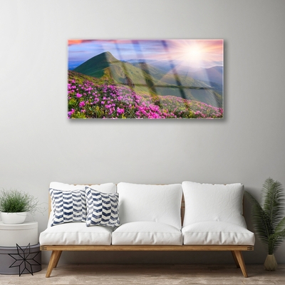 Quadro acrílico Montanhas Prado Flores Paisagem