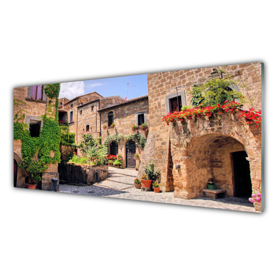 Quadro acrílico Beco Flores Casas Planta