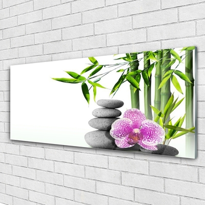 Pintura acrílica Bamboo Spa Zen Art