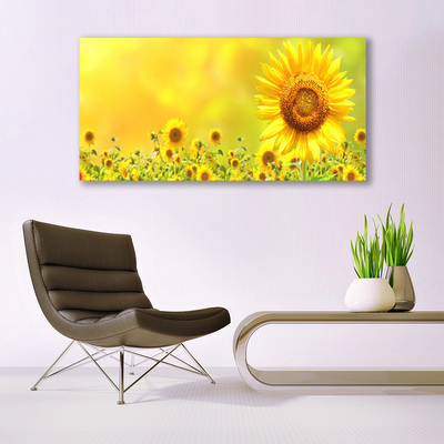 Quadro acrílico Planta de flor de girassol