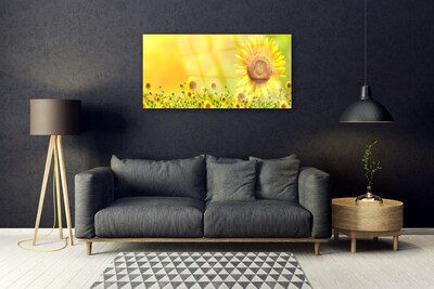Quadro acrílico Planta de flor de girassol