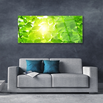 Quadro acrílico Folhas Natureza Sol Planta