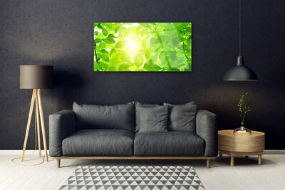 Quadro acrílico Folhas Natureza Sol Planta