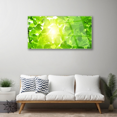 Quadro acrílico Folhas Natureza Sol Planta