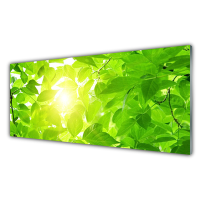 Quadro acrílico Folhas Natureza Sol Planta