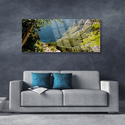 Quadro acrílico Natureza da Floresta da Montanha