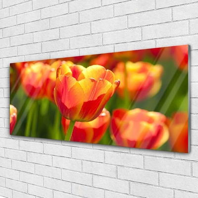 Pintura acrílica Tulipas Flores Planta
