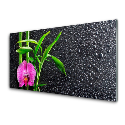 Quadro acrílico Gotas de flores de bambu