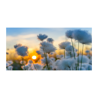 Pintura acrílica Flores Planta Natureza