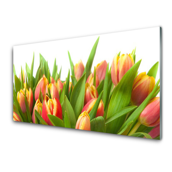 Pintura acrílica Tulipas Flores Planta