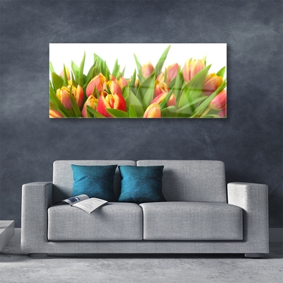 Pintura acrílica Tulipas Flores Planta