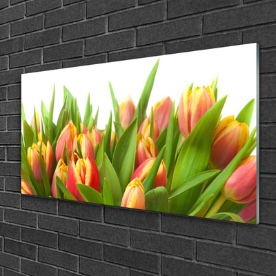 Pintura acrílica Tulipas Flores Planta