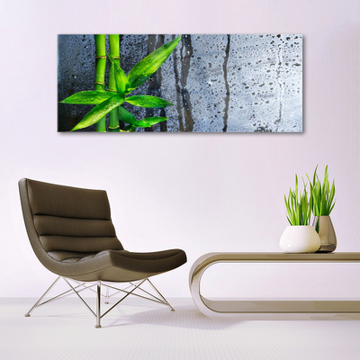 Quadro acrílico Planta de folha de bambu Natureza