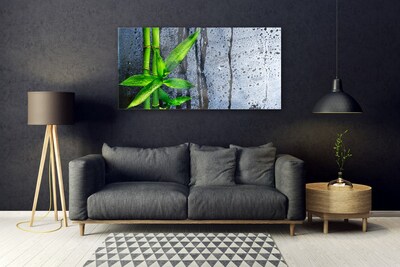 Quadro acrílico Planta de folha de bambu Natureza