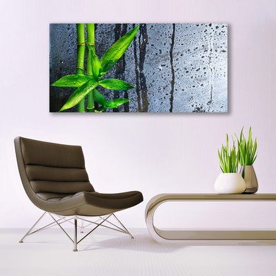 Quadro acrílico Planta de folha de bambu Natureza