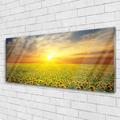 Pintura acrílica Girassóis Sun Meadow