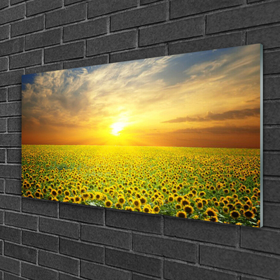 Pintura acrílica Girassóis Sun Meadow