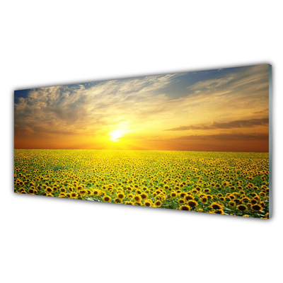 Pintura acrílica Girassóis Sun Meadow