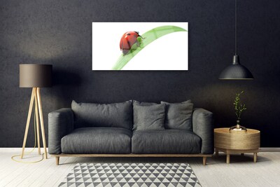 Quadro acrílico Joaninha Folha Natureza