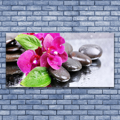 Pintura acrílica Planta de orquídea flor