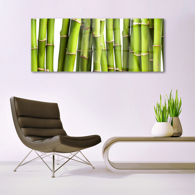 Quadro acrílico Natureza da planta de bambu