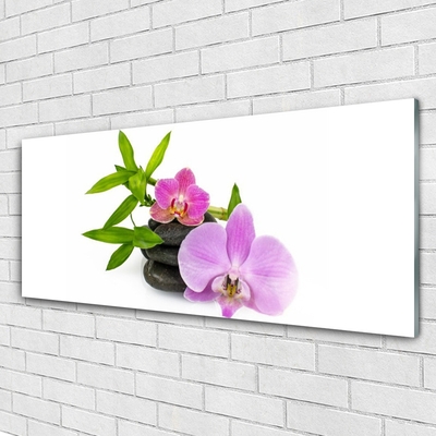 Quadro acrílico Planta de orquídea flor