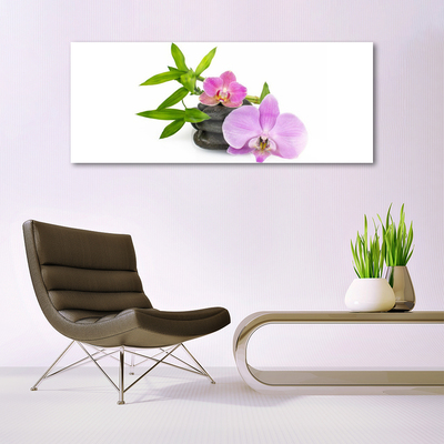 Quadro acrílico Planta de orquídea flor