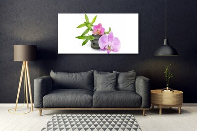 Quadro acrílico Planta de orquídea flor