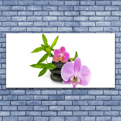 Quadro acrílico Planta de orquídea flor