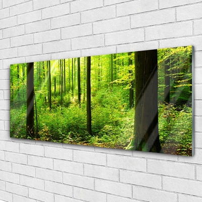 Quadro acrílico Floresta Verde Árvores Natureza
