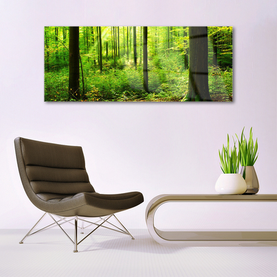 Quadro acrílico Floresta Verde Árvores Natureza